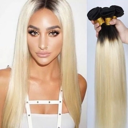 Burmese Black Blonde Straight